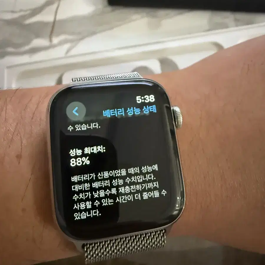 애플워치6 44mm 스테인리스 밀레니즈루프 팝니다.