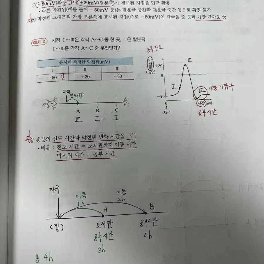 백호 [생명과학l] 2025 상위권을 위한 크리티컬 스킬 팝니다