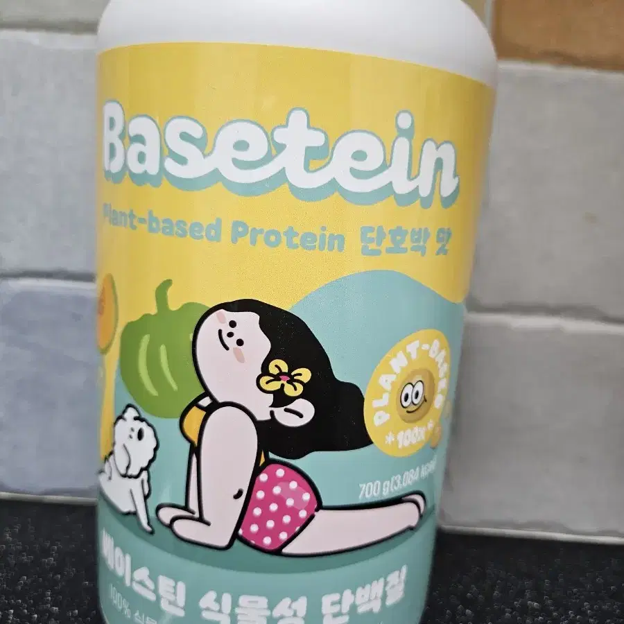 식물성 단백질 (프로틴 쉐이크)