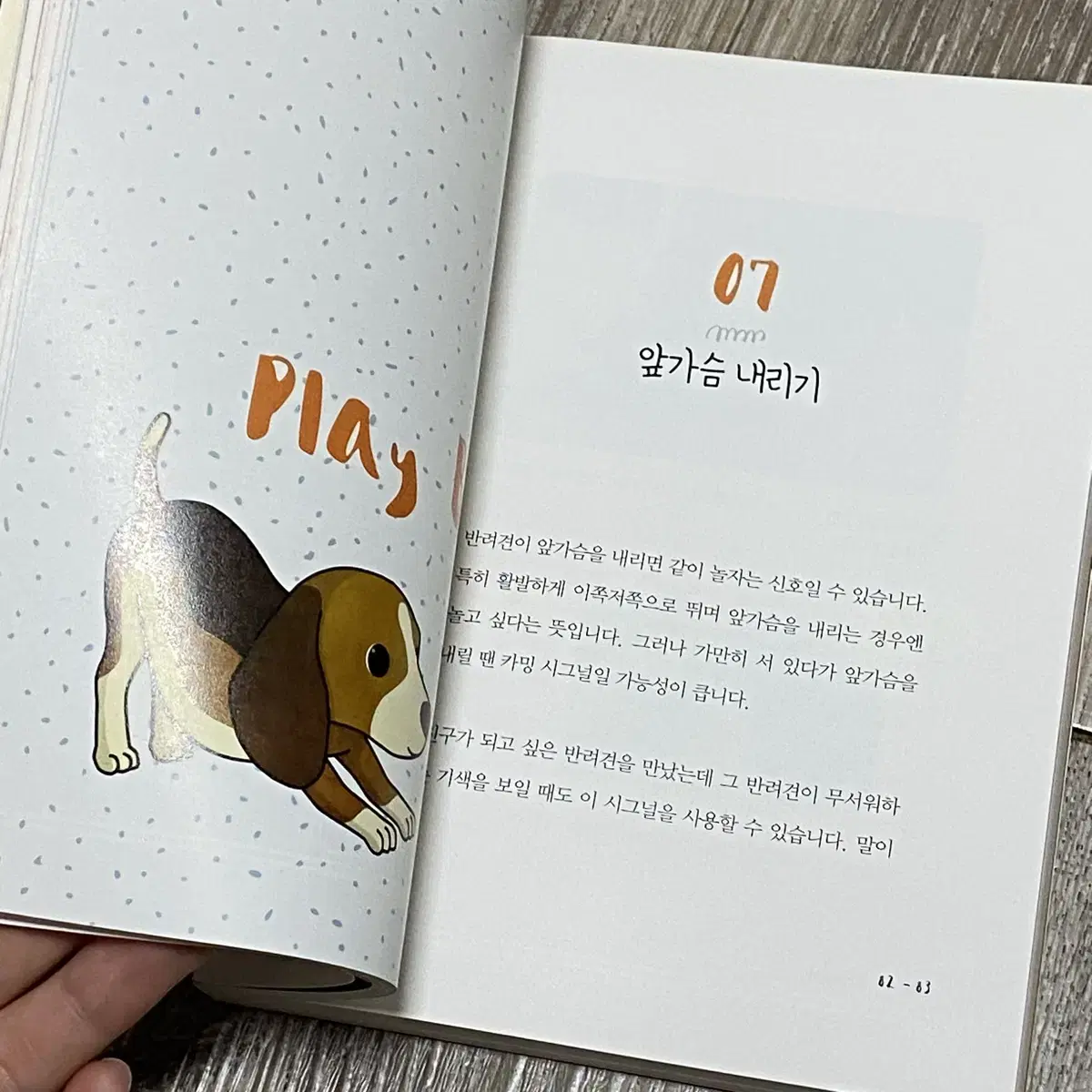 반려동물 행동 교정 책 반려동물훈련사 교육 책 일괄 판매