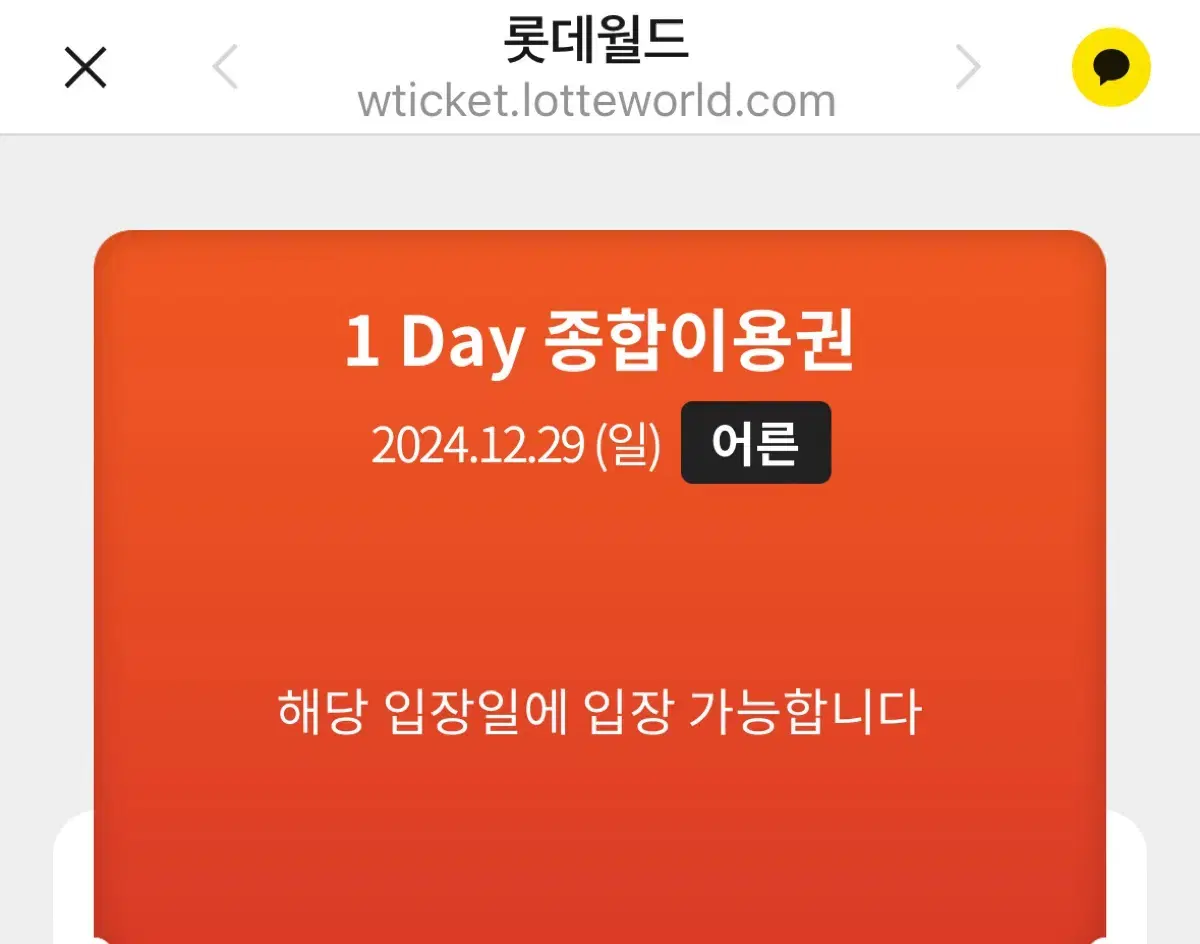 롯데월드 자유이용권 종일권 성인 1매만!!