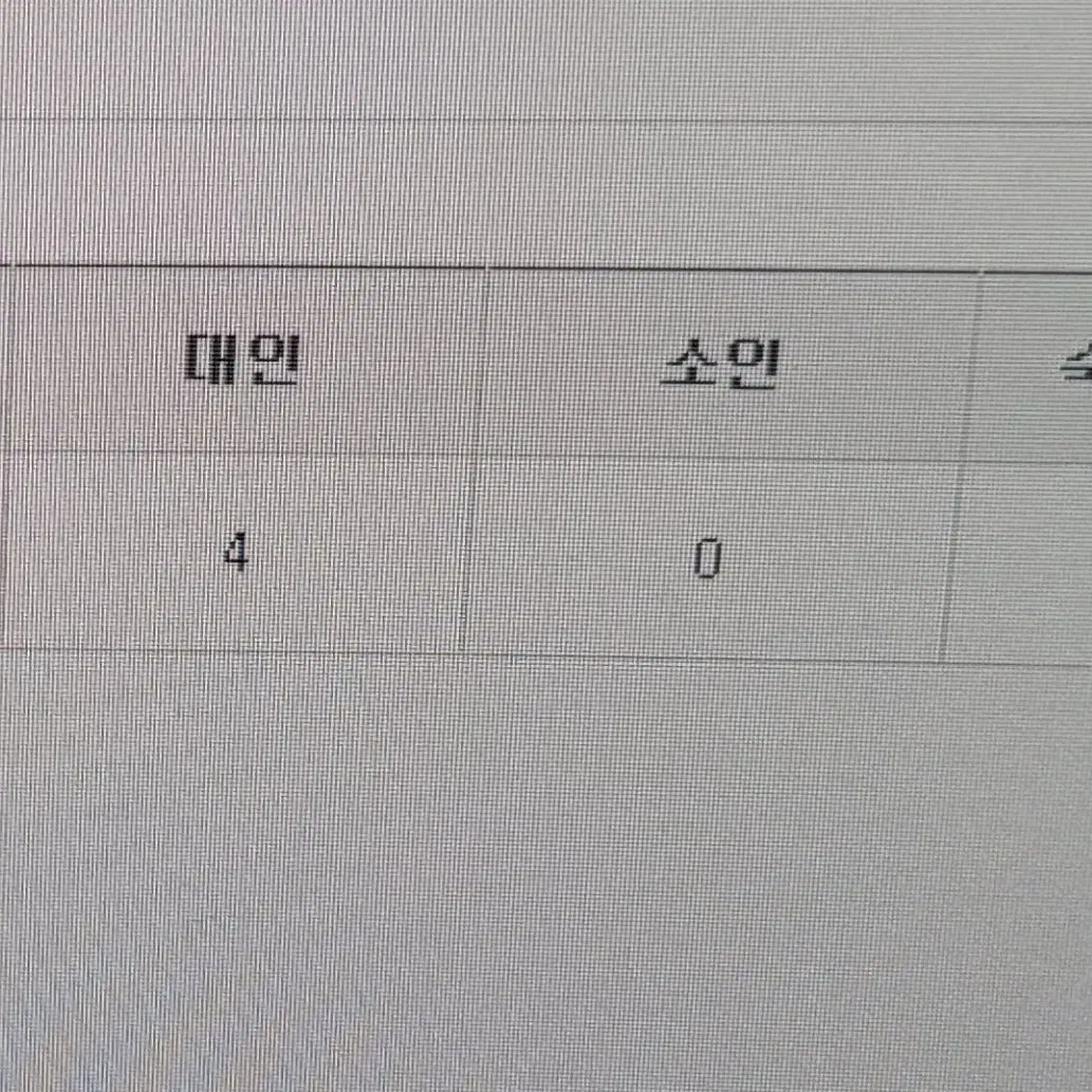 에버랜드 이용권