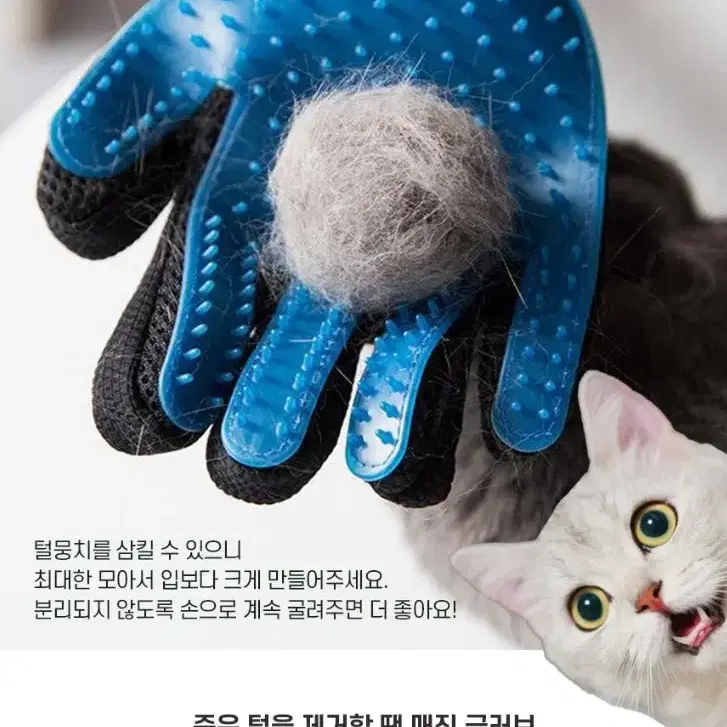 강아지 고양이 털제거 브러쉬 장갑