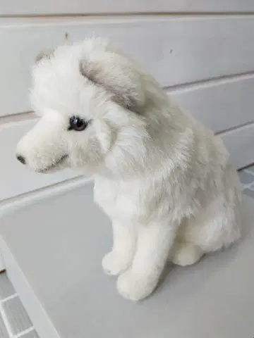 케이센 북극여우 봉제 인형