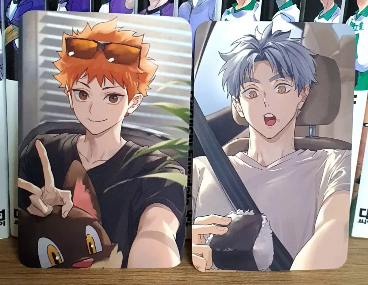 Haikyuu Black Jackal Hinata in kind, Bokuto Photo Card Fee Included