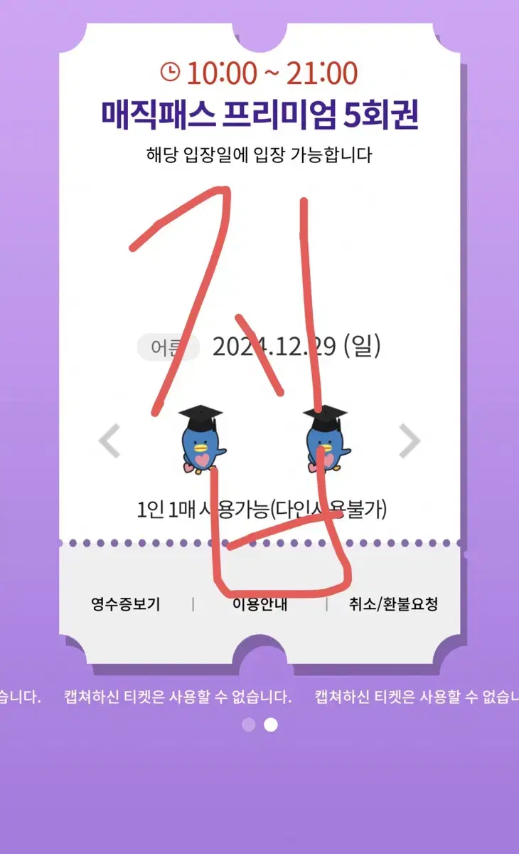 롯데월드 매직패스 12/29 일 5회권