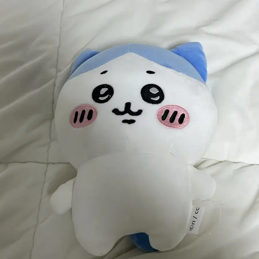 하치와레 25cm 인형