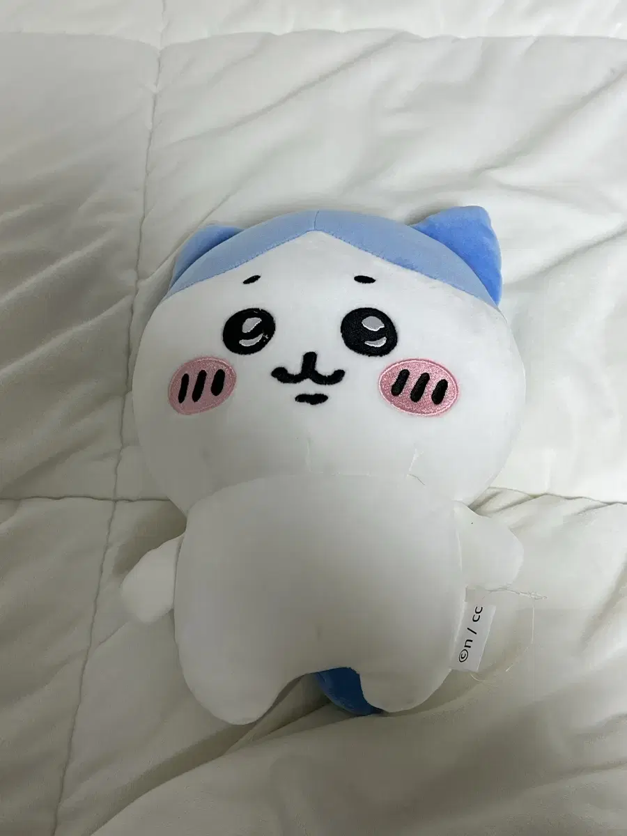 하치와레 25cm 인형