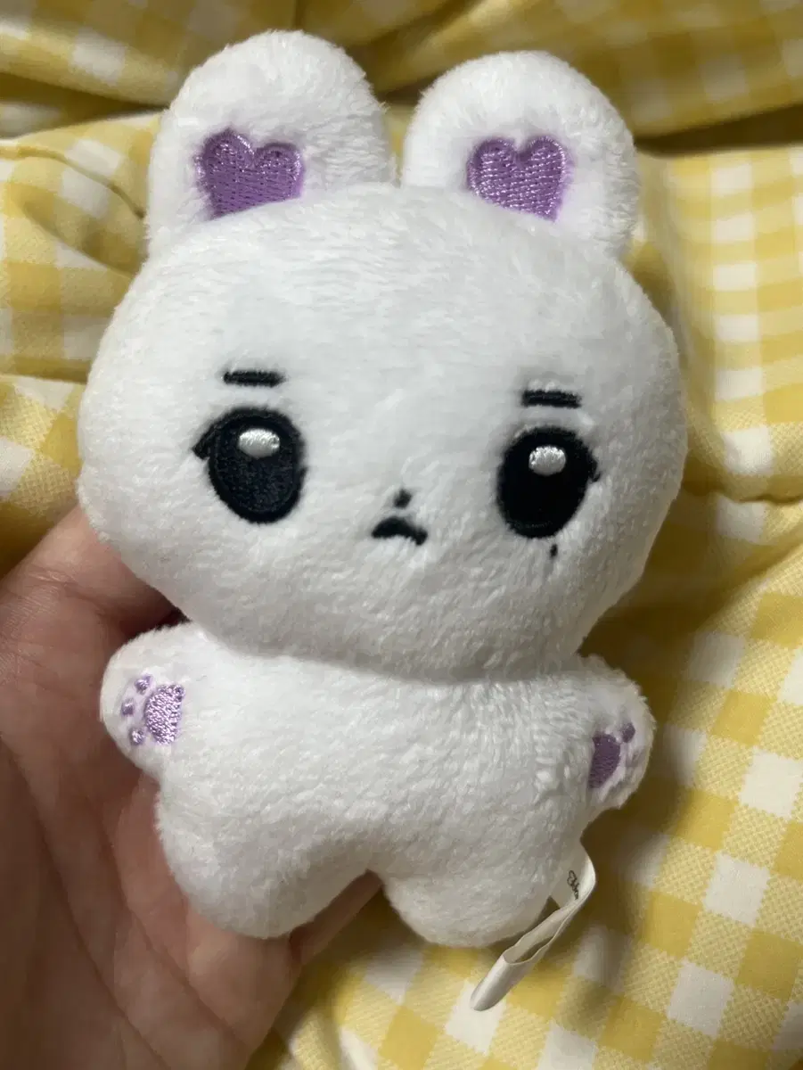 아이유 10cm 인형 징빗 양도