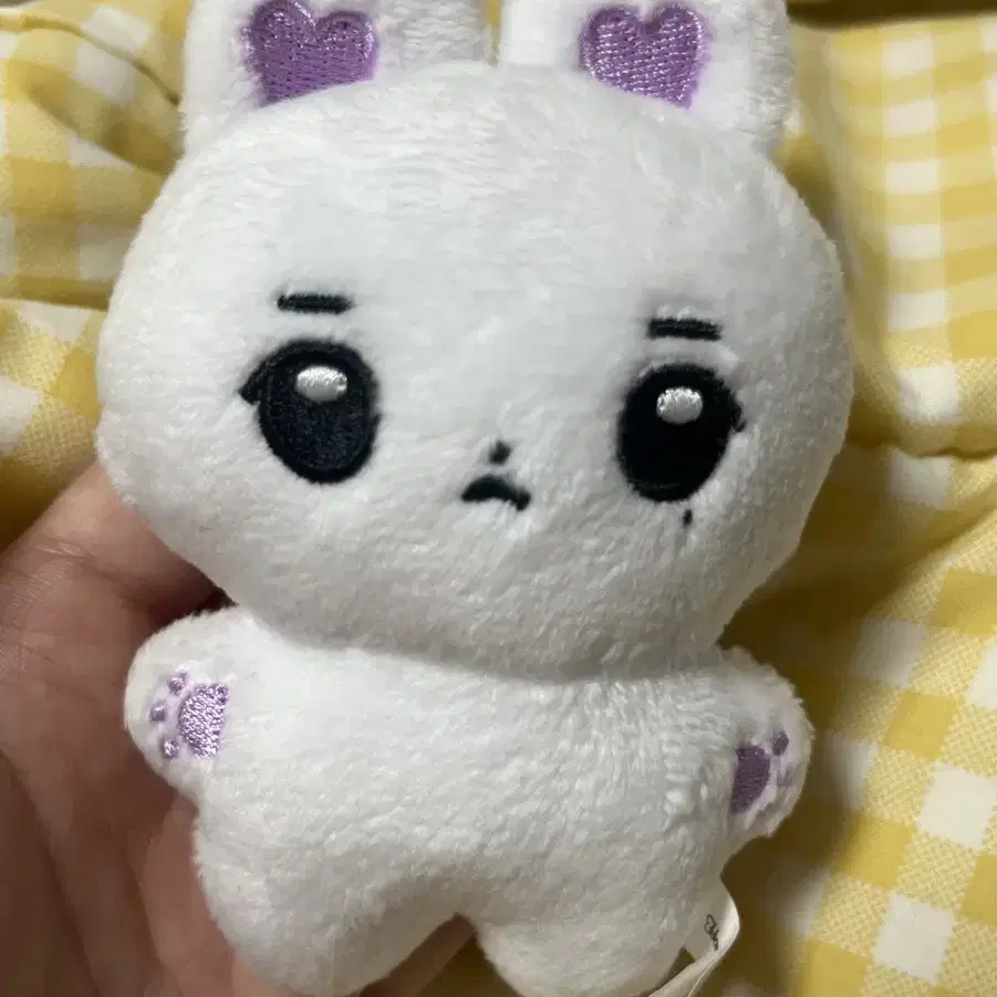 아이유 10cm 인형 징빗 양도