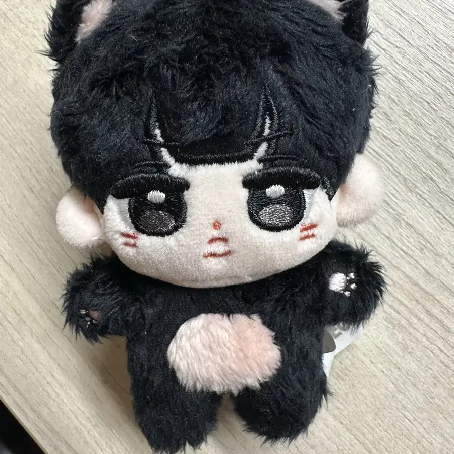 더보이즈 선우 인형 떤코 떤냐