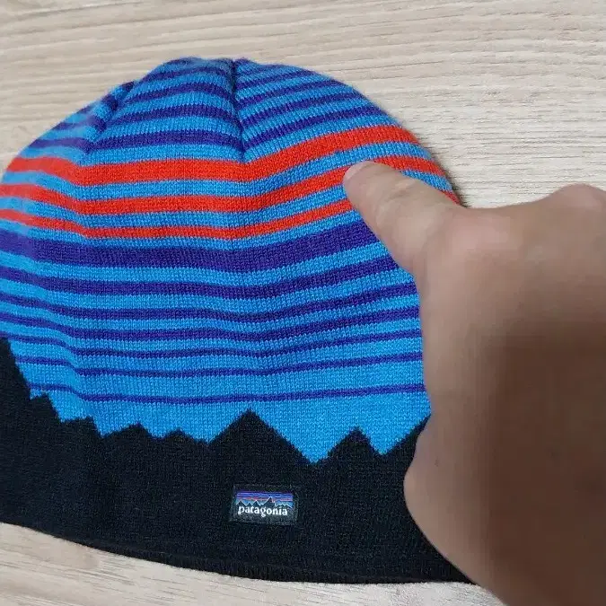 patagonia 휫츠 뤄이 라인드 비니