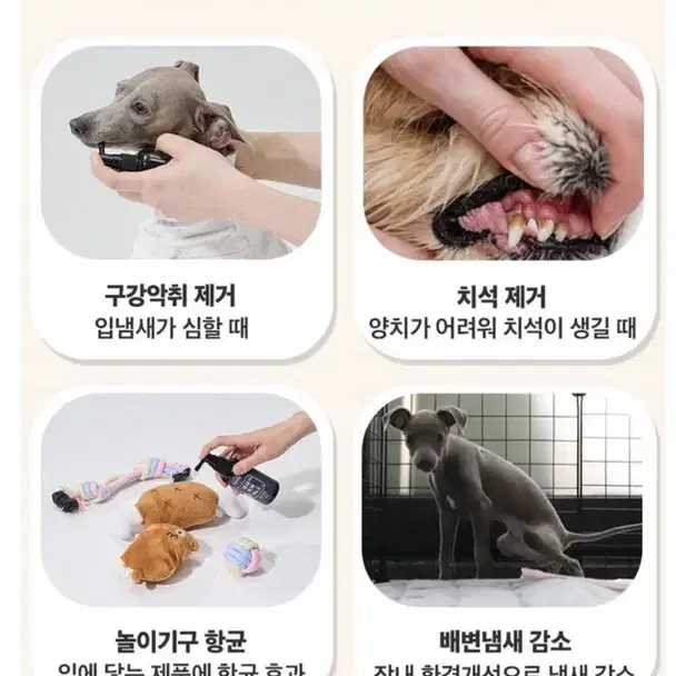 강아지 뿌리는 치약