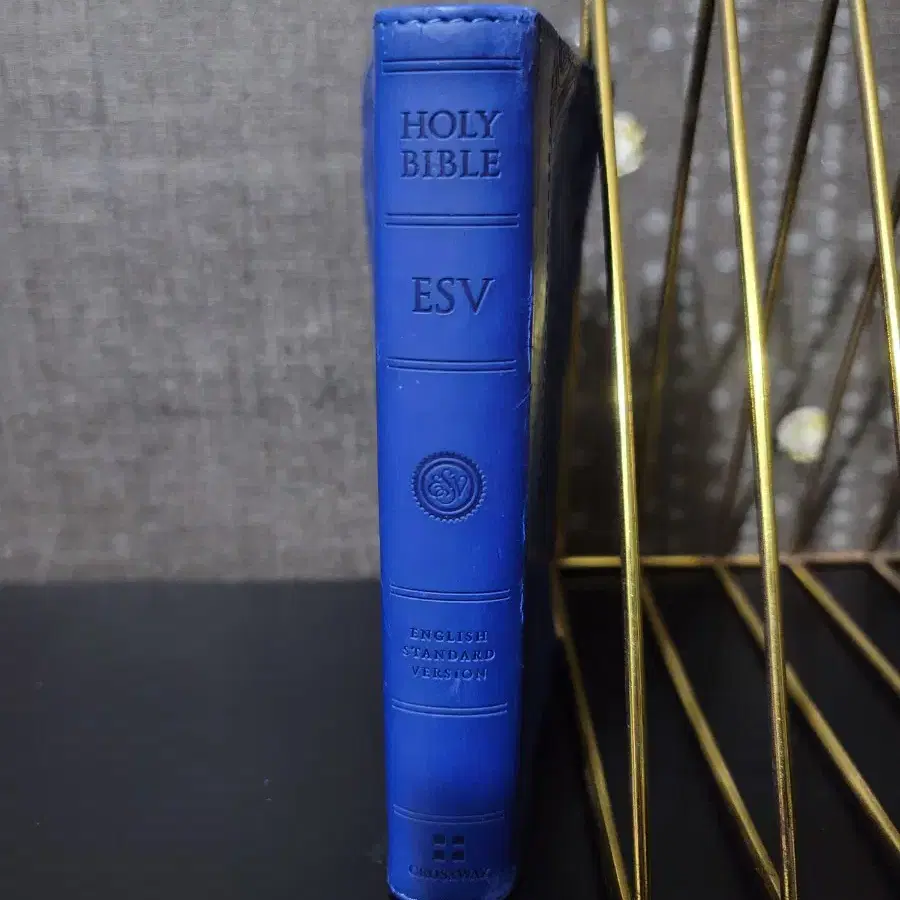 Holy Bible (영어성경)