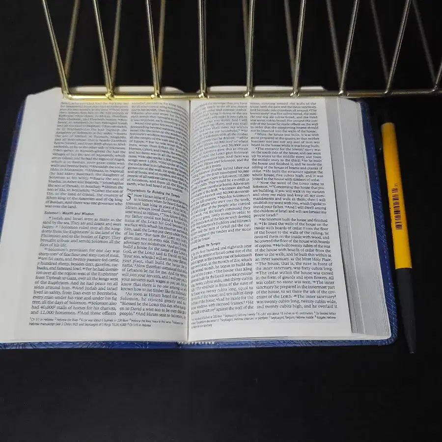 Holy Bible (영어성경)