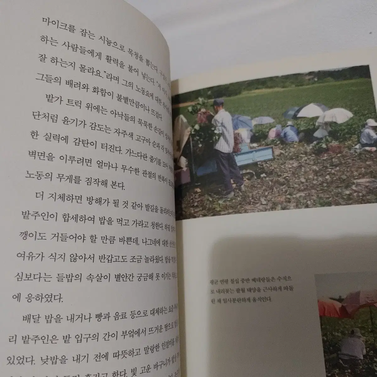 들살림 월령가 한국 에세이 도서 책