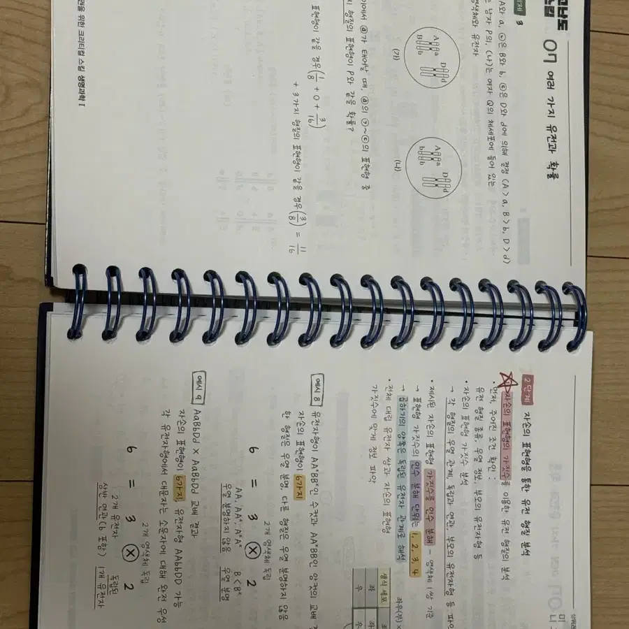 백호 2025 생명과학1 개념완성 필기노트, 상크스 필기노트