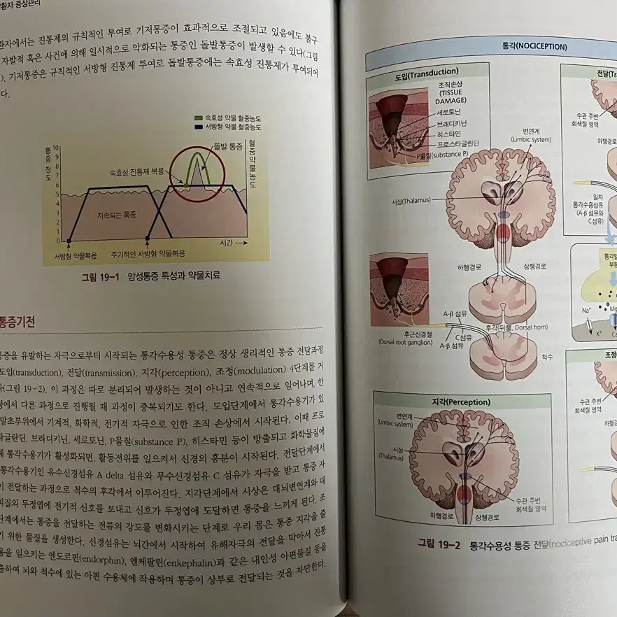 종양간호학