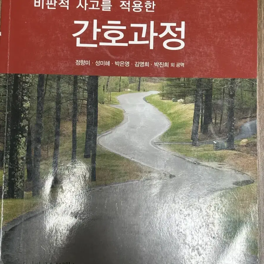 비판적 사고를 적용한 간호과정 수문사