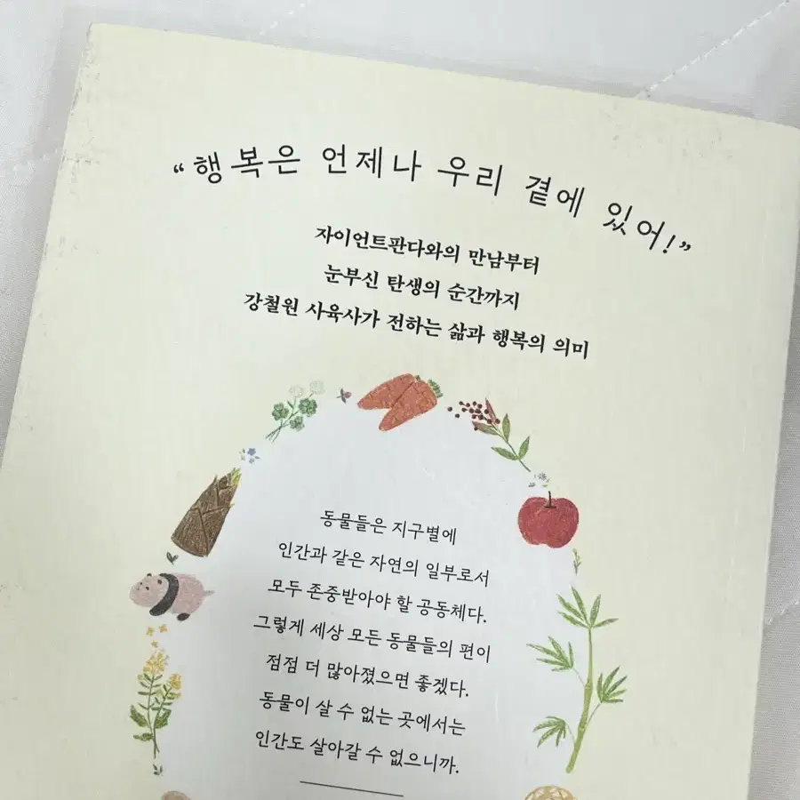 푸바오 할부지 책 (배송비 포함)