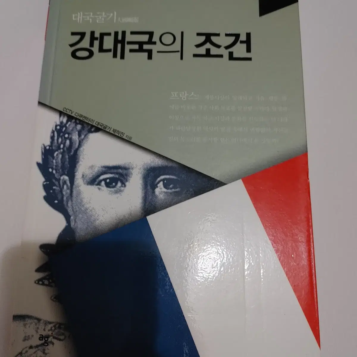 강대국의 조건 프랑스 사회학 정치 외교학 서양사 도서 책