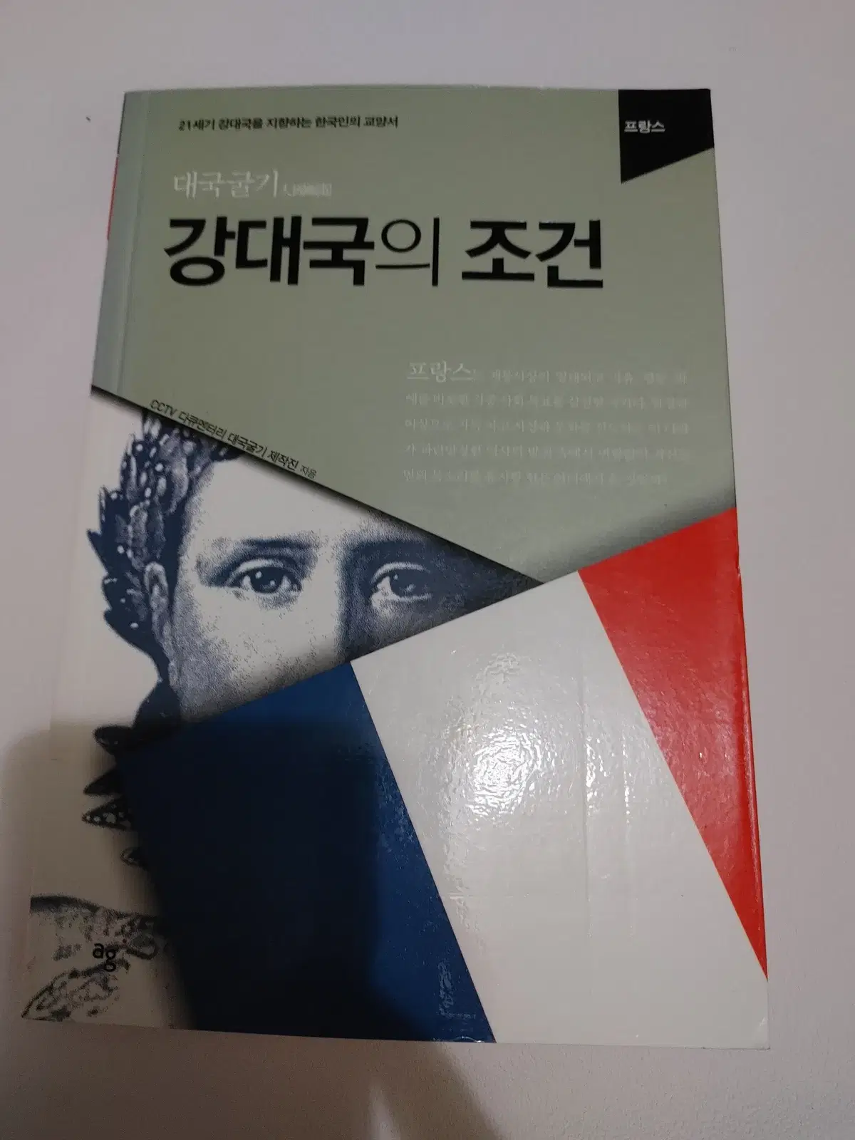 강대국의 조건 프랑스 사회학 정치 외교학 서양사 도서 책