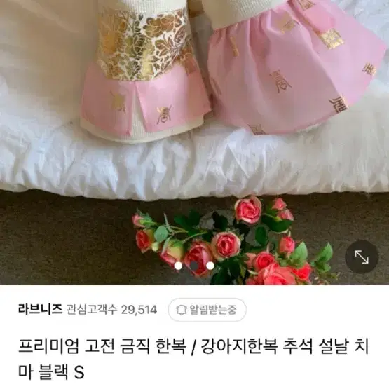 강아지 한복