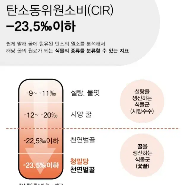 청밀당 베트남 천연 꿀 6kg 대용량 야생화 벌꿀