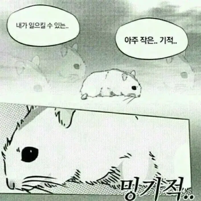 주술회전 회옥옥절 공굿 비공굿 게토 고죠 쇼코 판매 미개봉 개봉 양도일괄