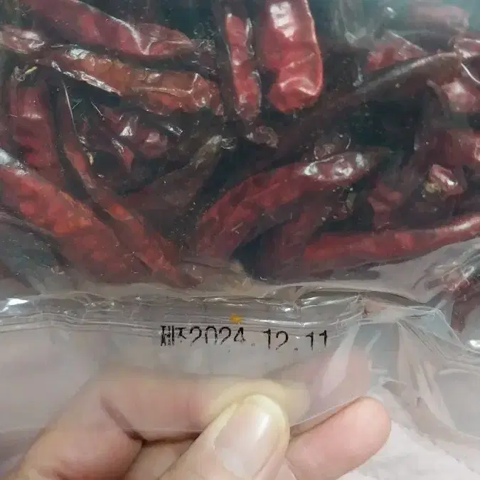 땡초500g