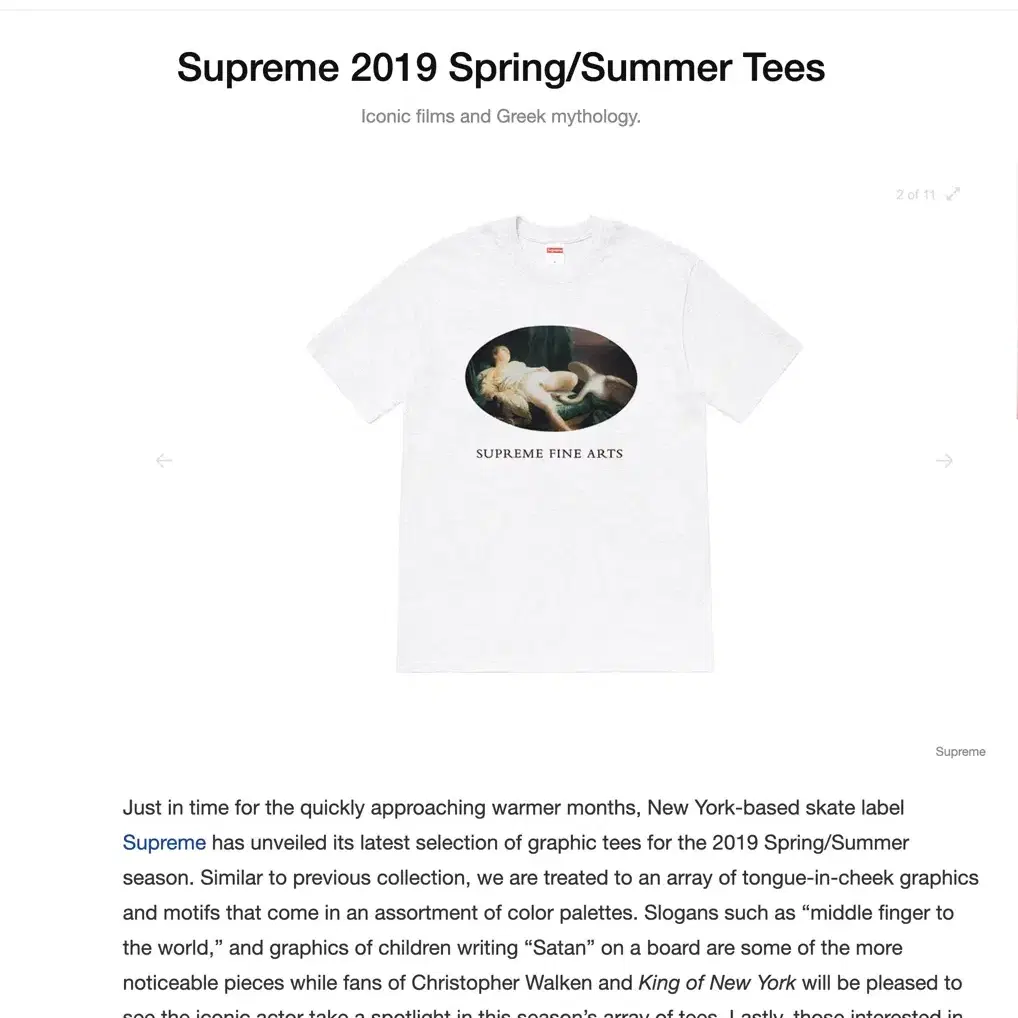 supreme 2019 S/S fine arts Tee Large