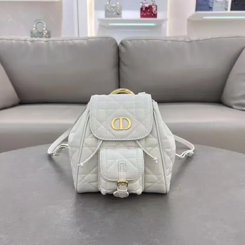 CHRISTIAN DIOR 통근용 백팩19.5*18.5*8.5cm