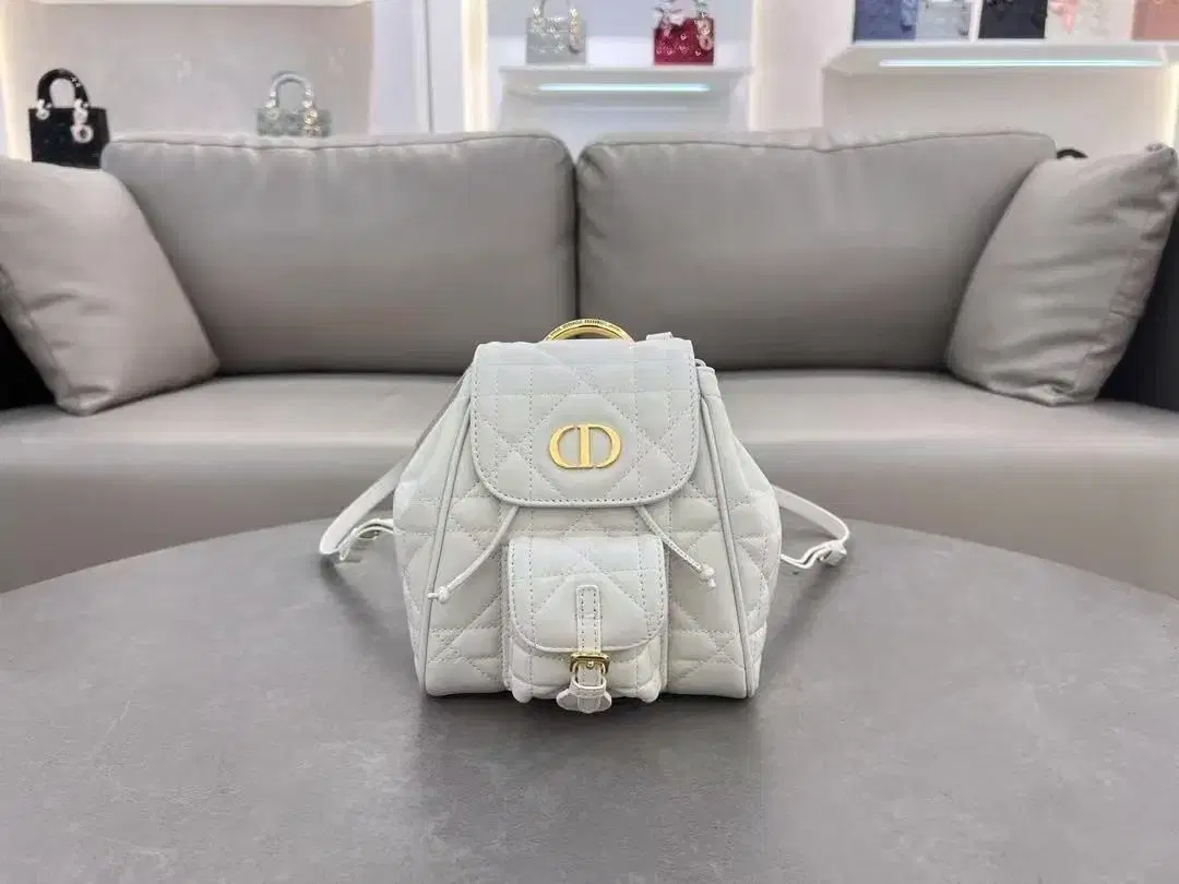 CHRISTIAN DIOR 통근용 백팩19.5*18.5*8.5cm