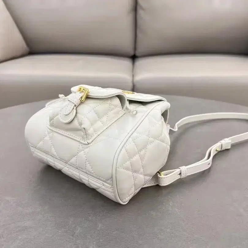 CHRISTIAN DIOR 통근용 백팩19.5*18.5*8.5cm