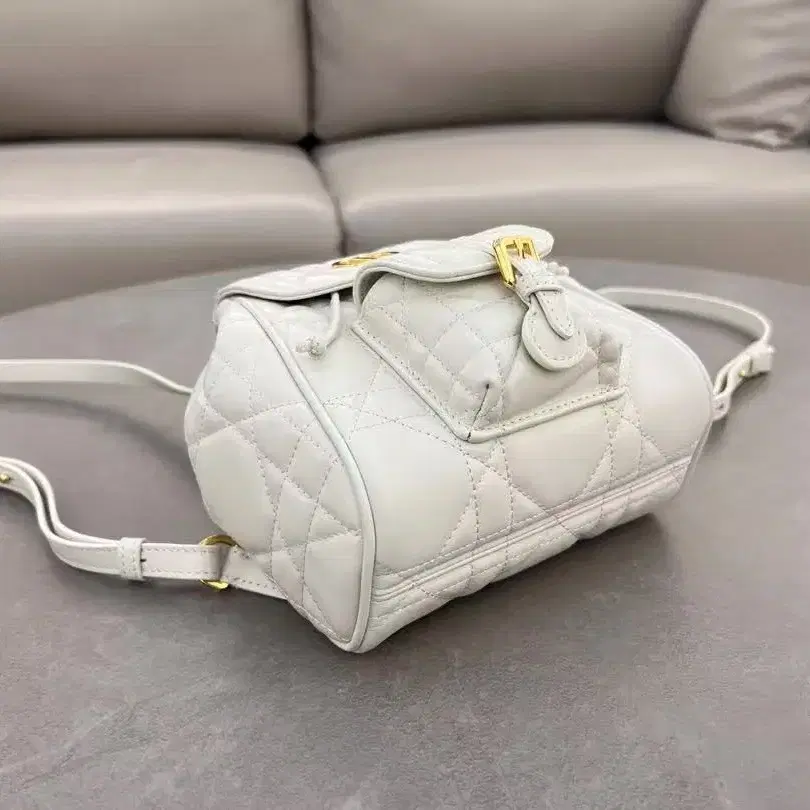 CHRISTIAN DIOR 통근용 백팩19.5*18.5*8.5cm