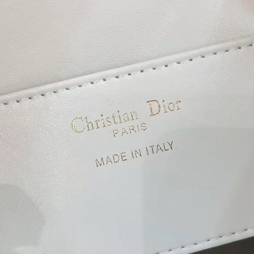 CHRISTIAN DIOR 통근용 백팩19.5*18.5*8.5cm