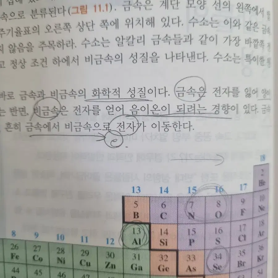 대학화학의 기초 15판