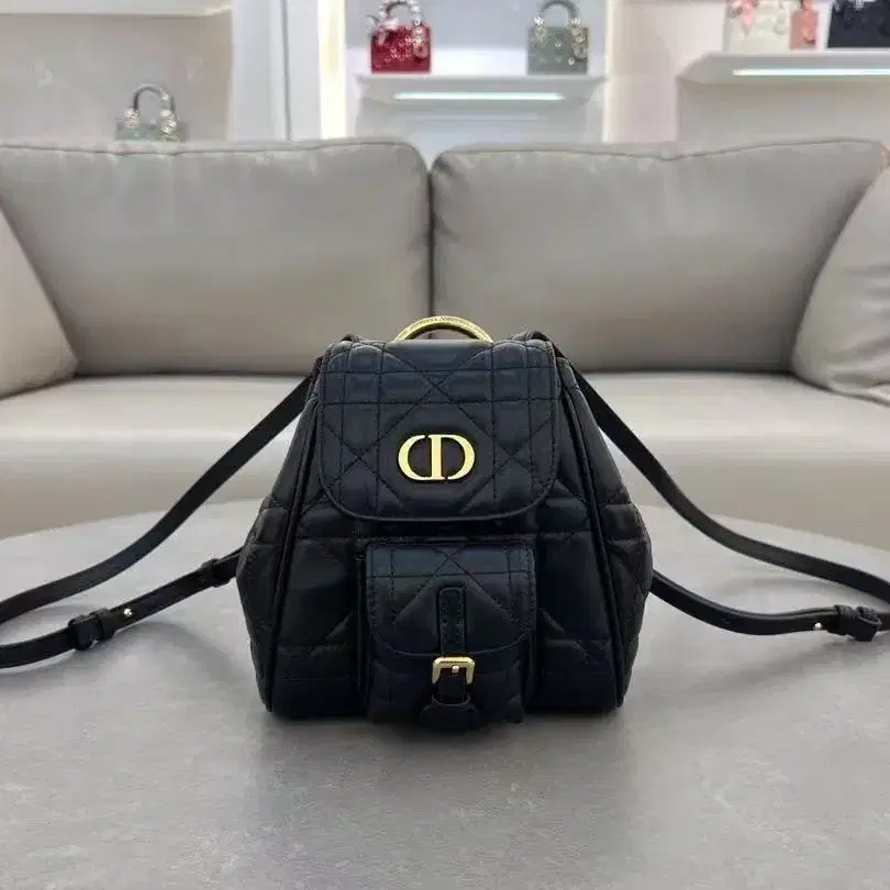 CHRISTIAN DIOR 통근용 백팩19.5*18.5*8.5cm