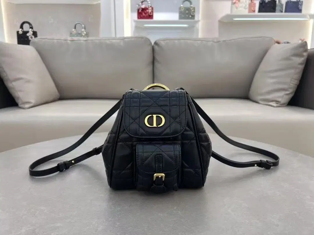 CHRISTIAN DIOR 통근용 백팩19.5*18.5*8.5cm