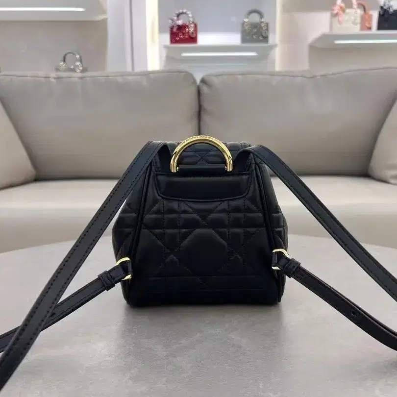 CHRISTIAN DIOR 통근용 백팩19.5*18.5*8.5cm