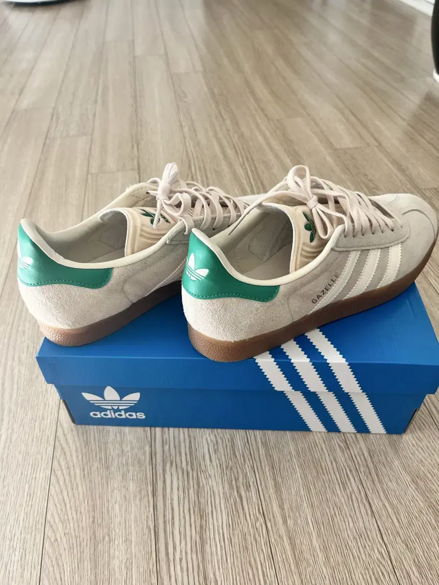 adidas Gazelle Cream White 255