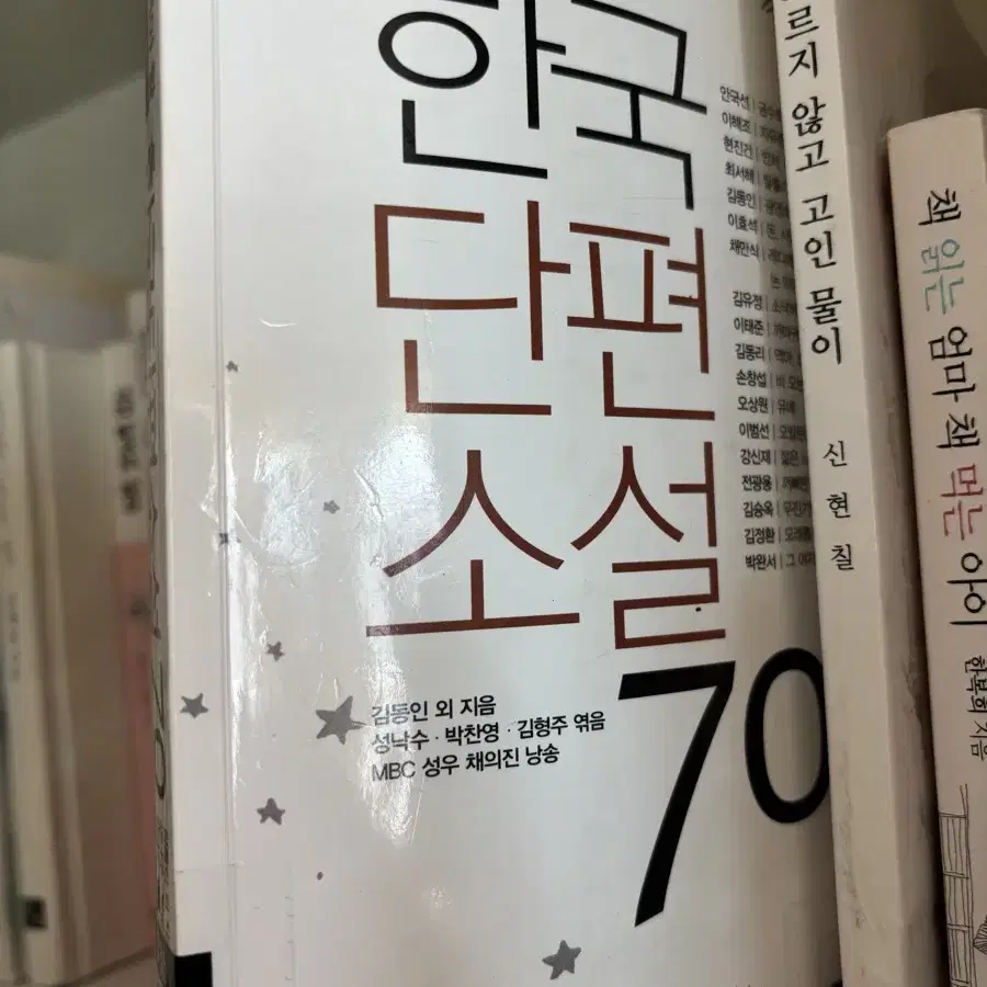 추리소설, 에세이, 단편소설