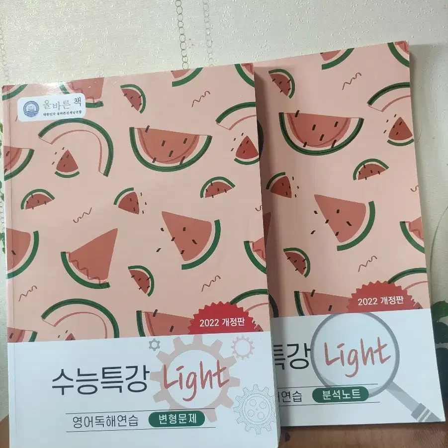 수능특강 Light  영어독해 변형문제