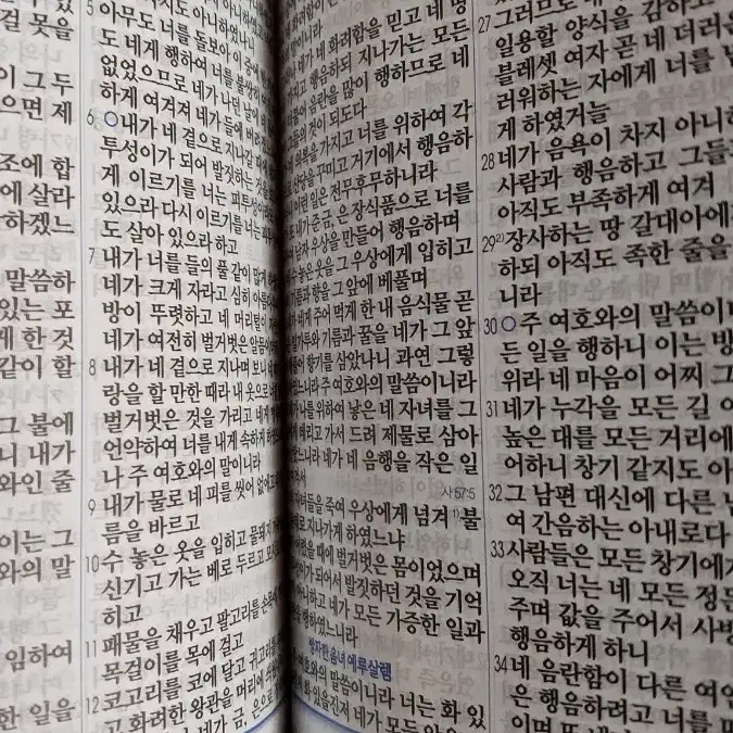 웨딩커플성경