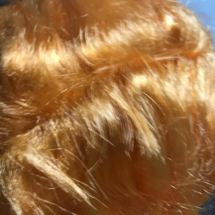 Side braid pigtails orange wig