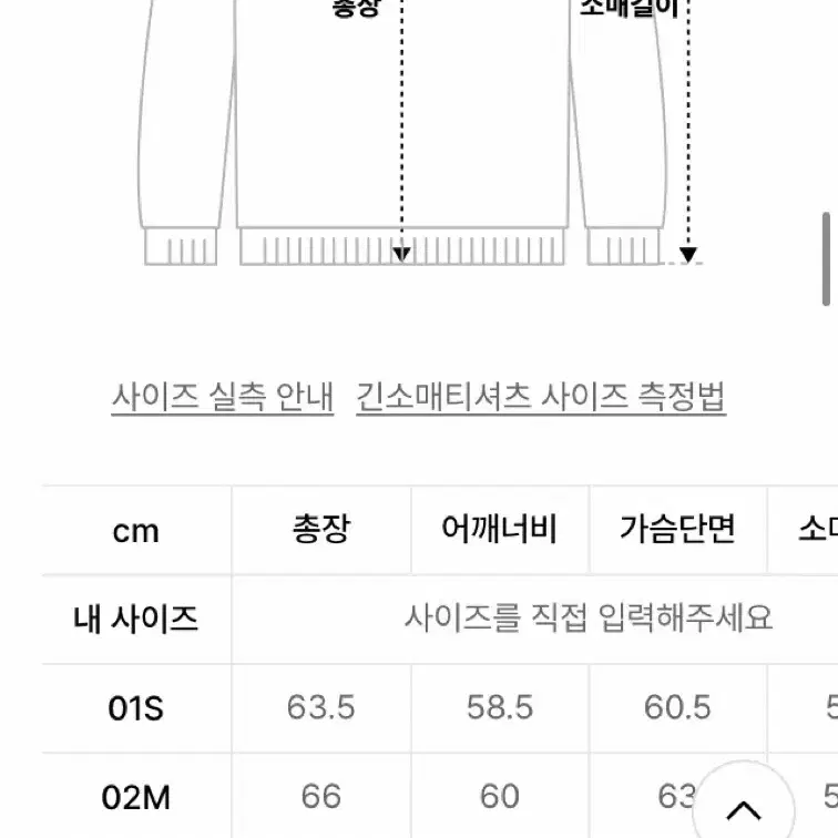 (새상품) 레이브 맨투맨