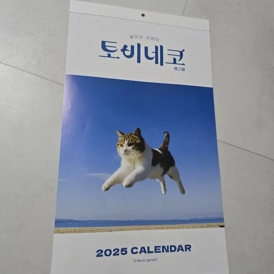 2025년 달력 날으는고양이 토비네코