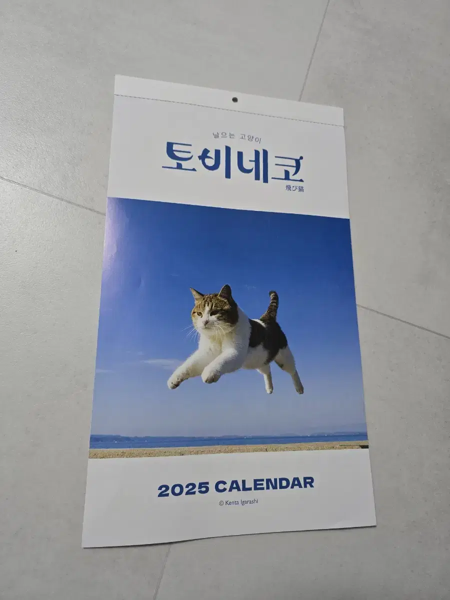 2025년 달력 날으는고양이 토비네코