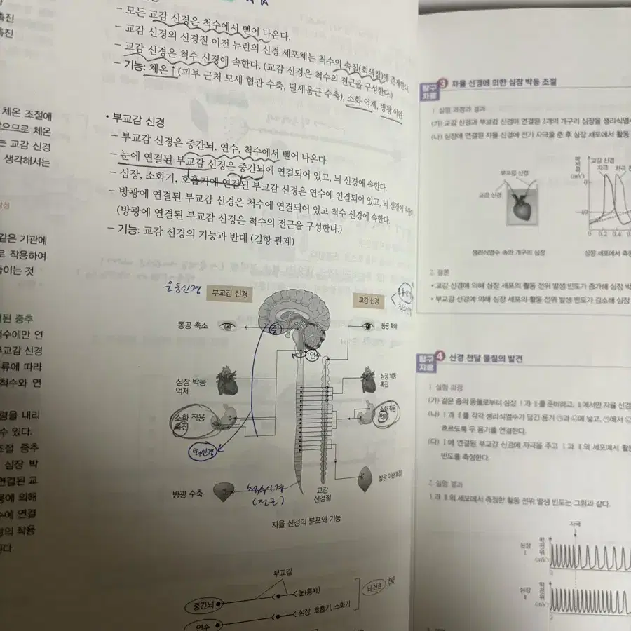 메가스터디 한종철 생명 철두철미 개념서