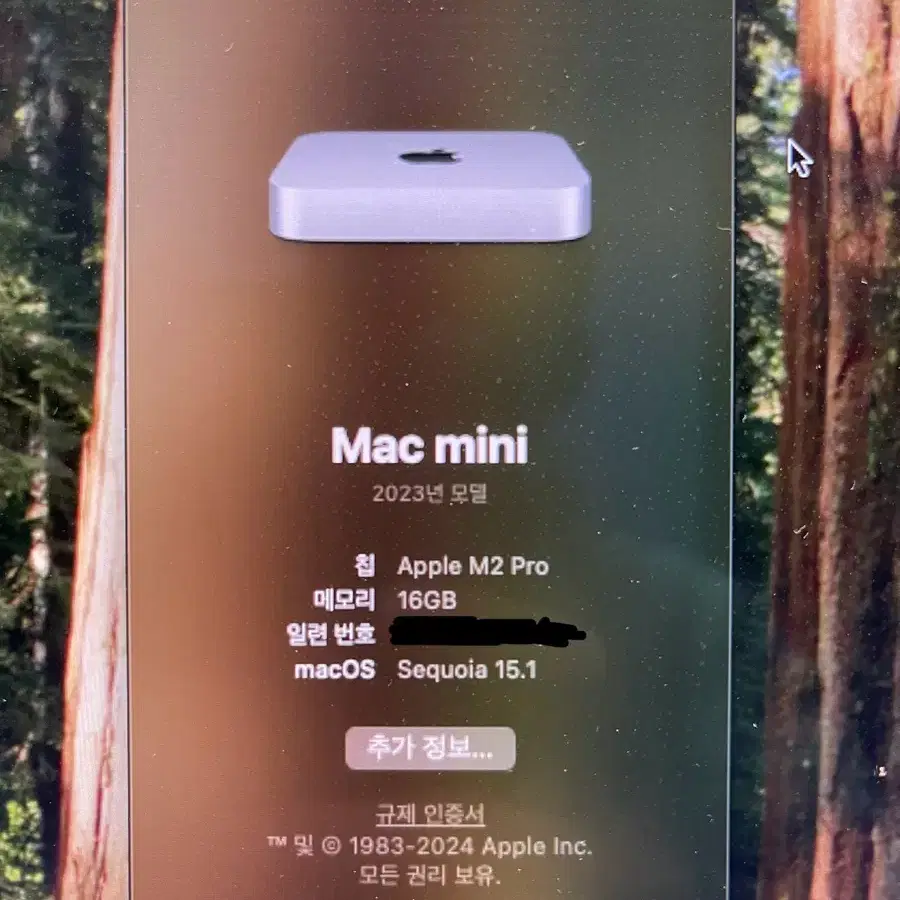 맥미니 M2 Pro 16GB 512GB 매직키보드 매직마우스 매직트랙패드